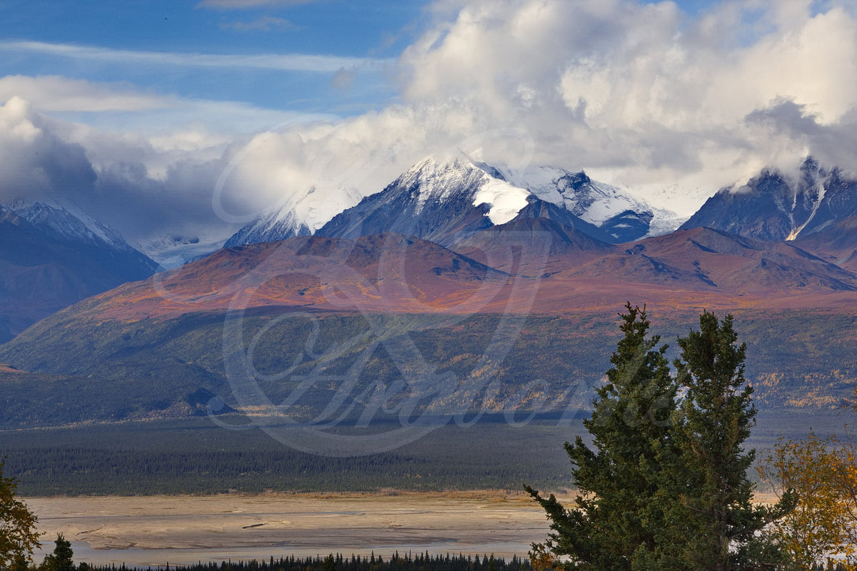 Denali in the clouds AK (KGA_IMG_5677_5.7)