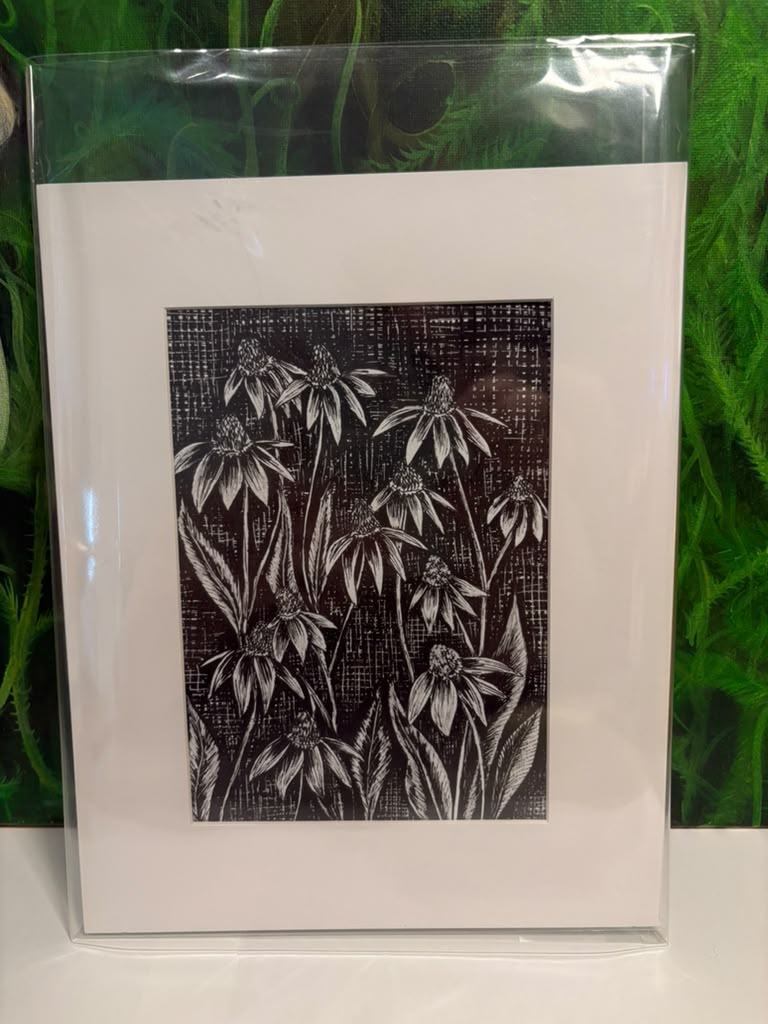 Cone Flower Art Print 5x7