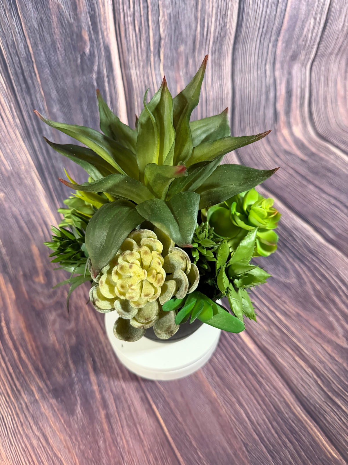 Succulent Pottery Planter Insert - 26042003