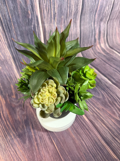 Succulent Pottery Planter Insert - 26042003