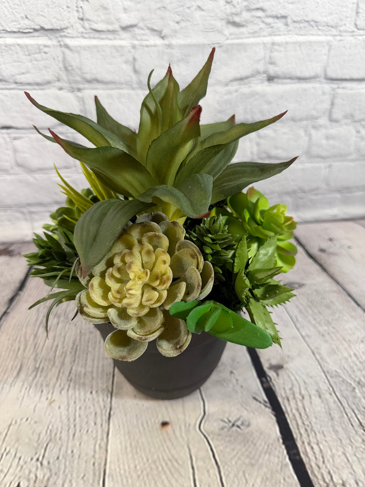 Succulent Pottery Planter Insert - 26042003