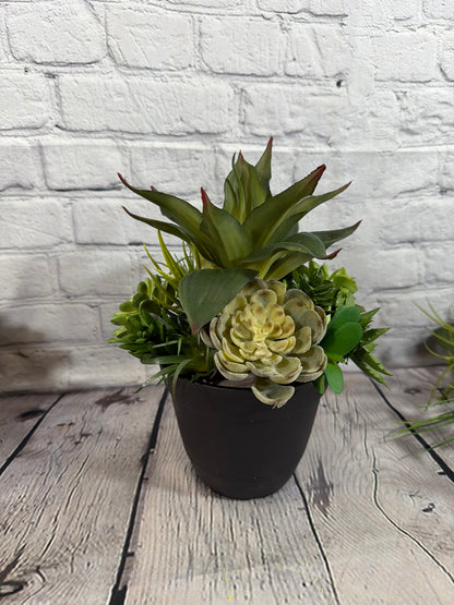Succulent Pottery Planter Insert - 26042003
