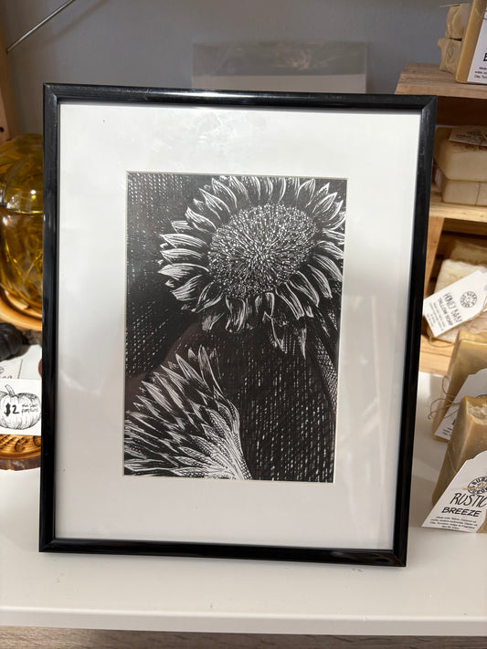 Sunflower Original Framed Pen Drawing 8x10