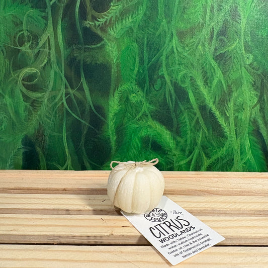 Citrus Woodlands Tallow Soap- Mini Pumpkin