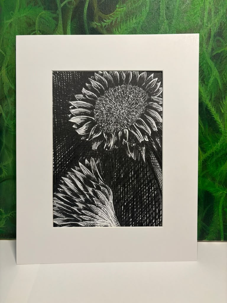 Sunflower Original Framed Pen Drawing 8x10