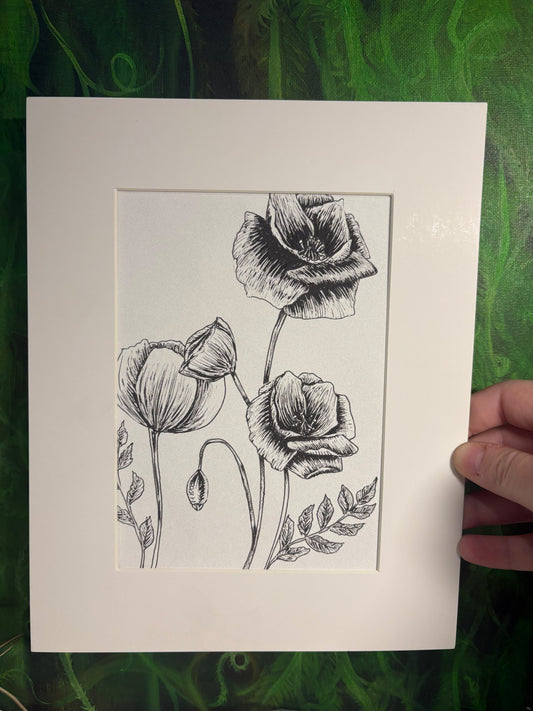 Poppy Art Print 5x7